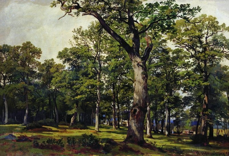 An-Oak-Forest-Ivan-Ivanovich-Shishkin-Reproductie-Schilderij-1 An Oak Forest - Afbeelding 1