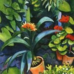 Flowers in the Garden, Clivia and Geraniums