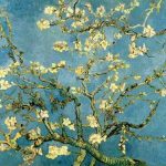 Blossoming Almond Tree