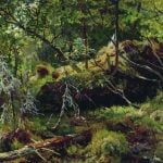 Branches