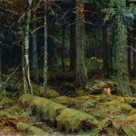 Dark Forest