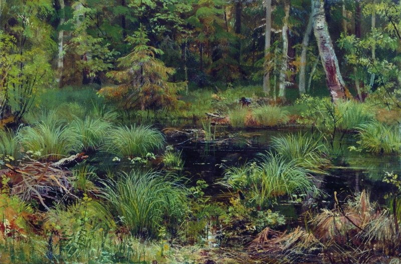 Forest-Stream-Ivan-Ivanovich-Shishkin-Reproductie-Schilderij-9 Forest Stream - Afbeelding 1