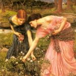 Gather Ye Rosebuds While Ye May