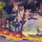 A Pine Wood, Provence