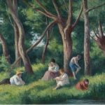 Late Afternoon at the Forest