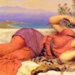 Noonday Rest