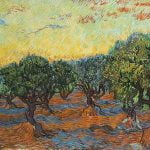 Olive Grove Orange Sky