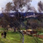Olive Trees Corfu