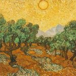 Olive Trees with Yellow Sky and Sun
