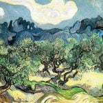 Olive Trees with the Alpilles in the Background