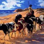 Oxen at the Beach