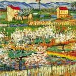 Peach Trees In Bloom