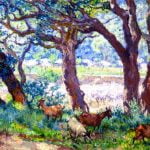 Peach Trees in Blossom Cork Oaks and Goats