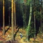 Pine Forest