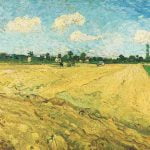 Ploughed Field