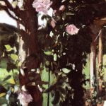 Roses at Oxfordshire