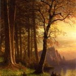 Sunset in California Yosemite