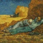 The Afternoon Siesta