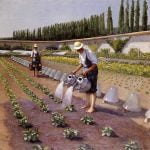 The Gardeners