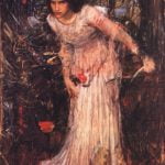 The Lady Of Shalott Study