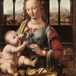 The Madonna of the Carnation