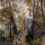 The Path through the Forest