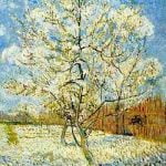 The Pink Peach Tree