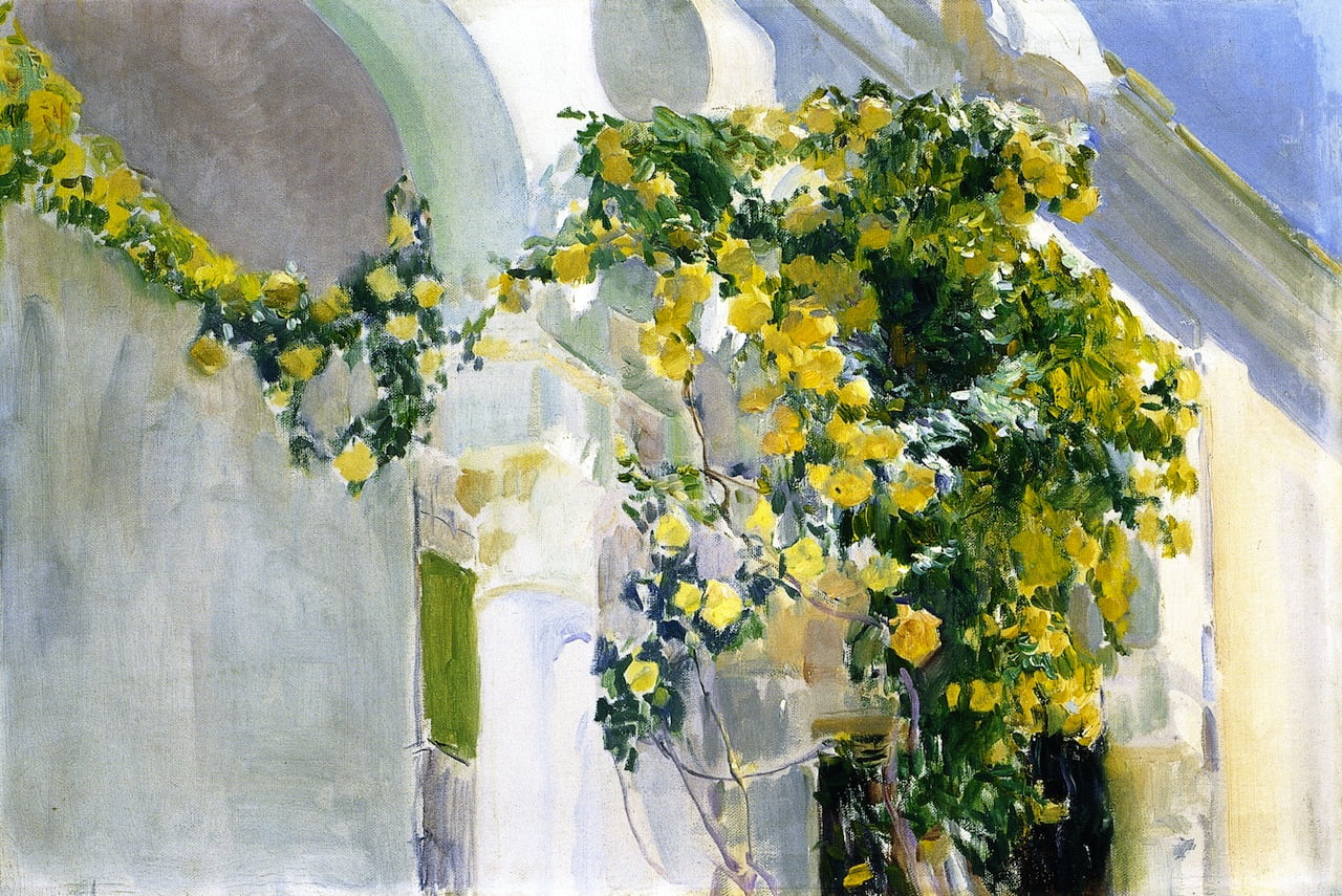 The-Yellow-Rosebush-of-the-Sorolla-House-Joaquin-Sorolla-y-Bastida-Reproductie-Schilderij The Yellow Rosebush of the Sorolla House - Afbeelding 1