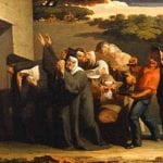 VertVert The Nuns Parrot