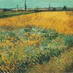 Wheat Field with the Alpilles Foothills in the Background
