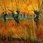 Willows at Sunset